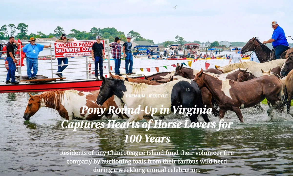 A screenshot of the award-winning article